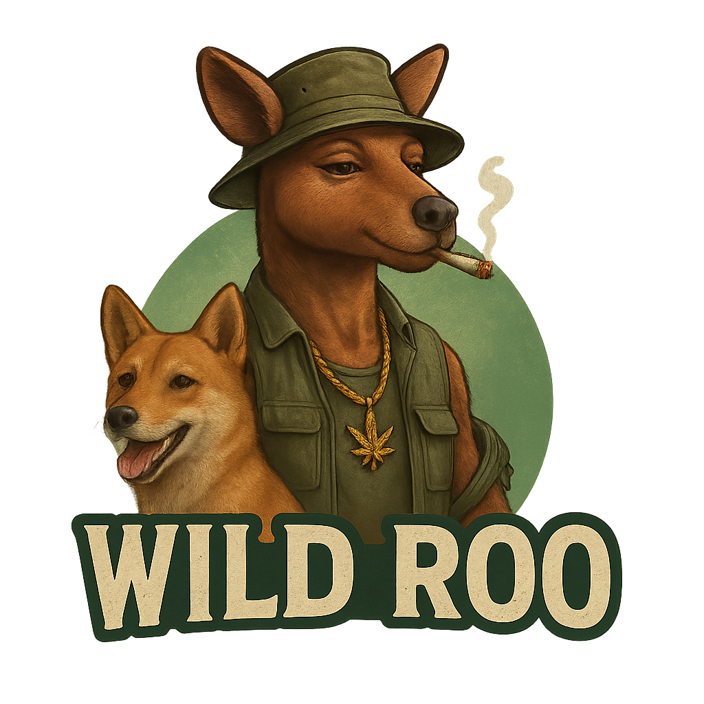 Essentials & Accessories