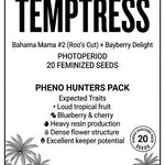 WRC - Tropic Bay Temptress