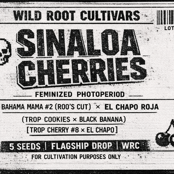 WRC - Sinaloa Cherries
