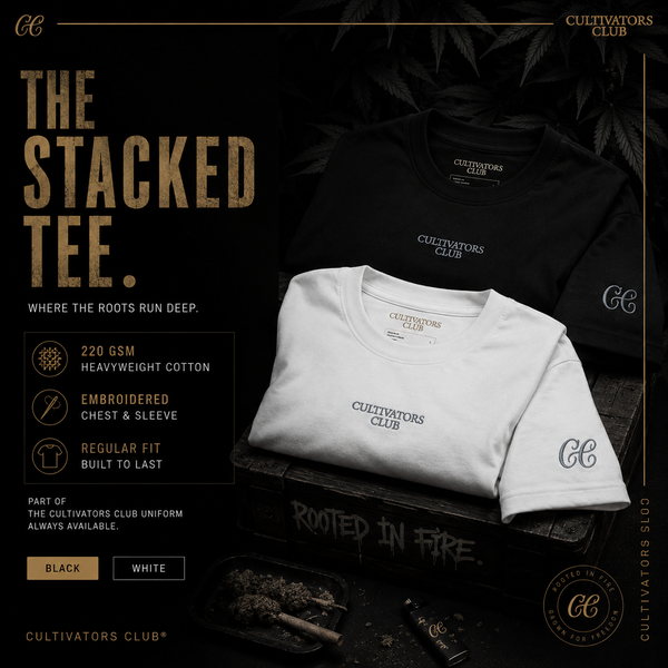 The Stacked Tee