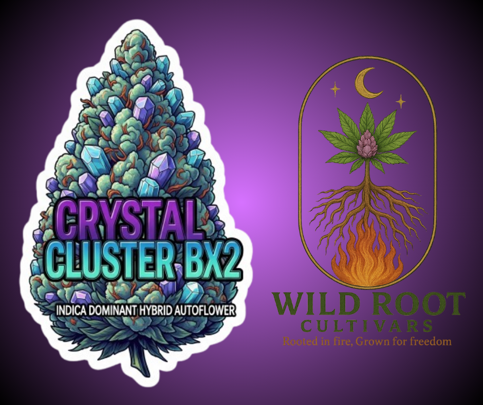 Crystal Cluster - Auto Fem