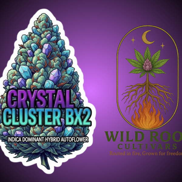 Crystal Cluster - Auto Fem