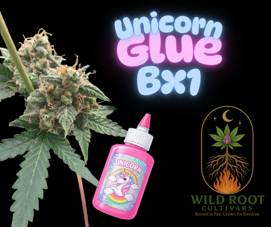 Unicorn Glue BX1 - Auto Fem