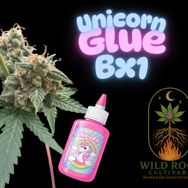 Unicorn Glue BX1 - Auto Fem