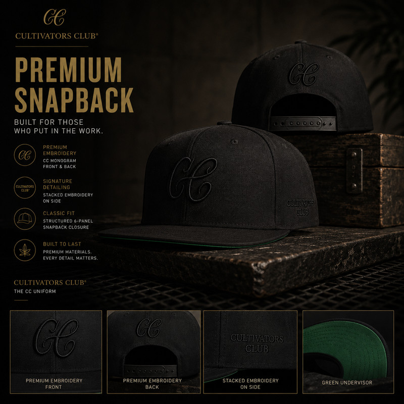 Monogram Snapback